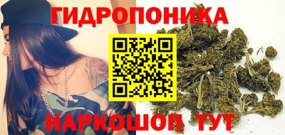 винт Будённовск