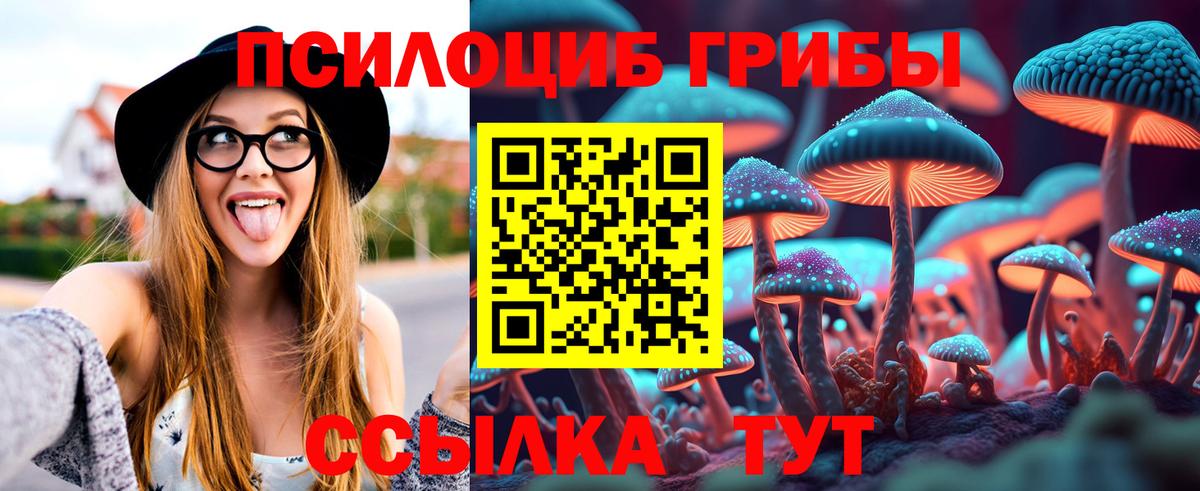 Галлюциногенные грибы GOLDEN TEACHER  Псилоцибиновые грибы мухоморы  Сосновоборск  Вход с VPN 